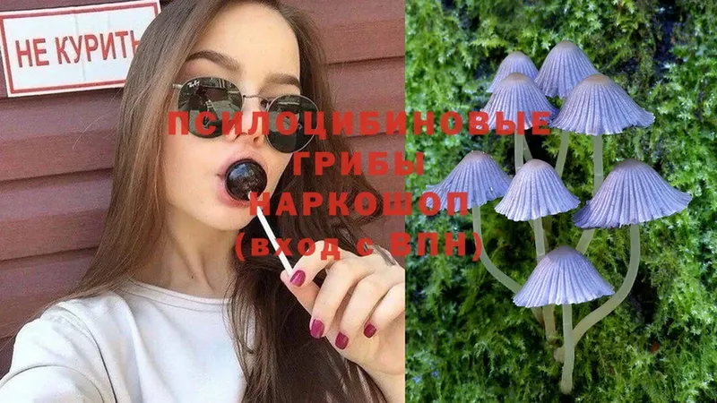 Галлюциногенные грибы Magic Shrooms  Севастополь 